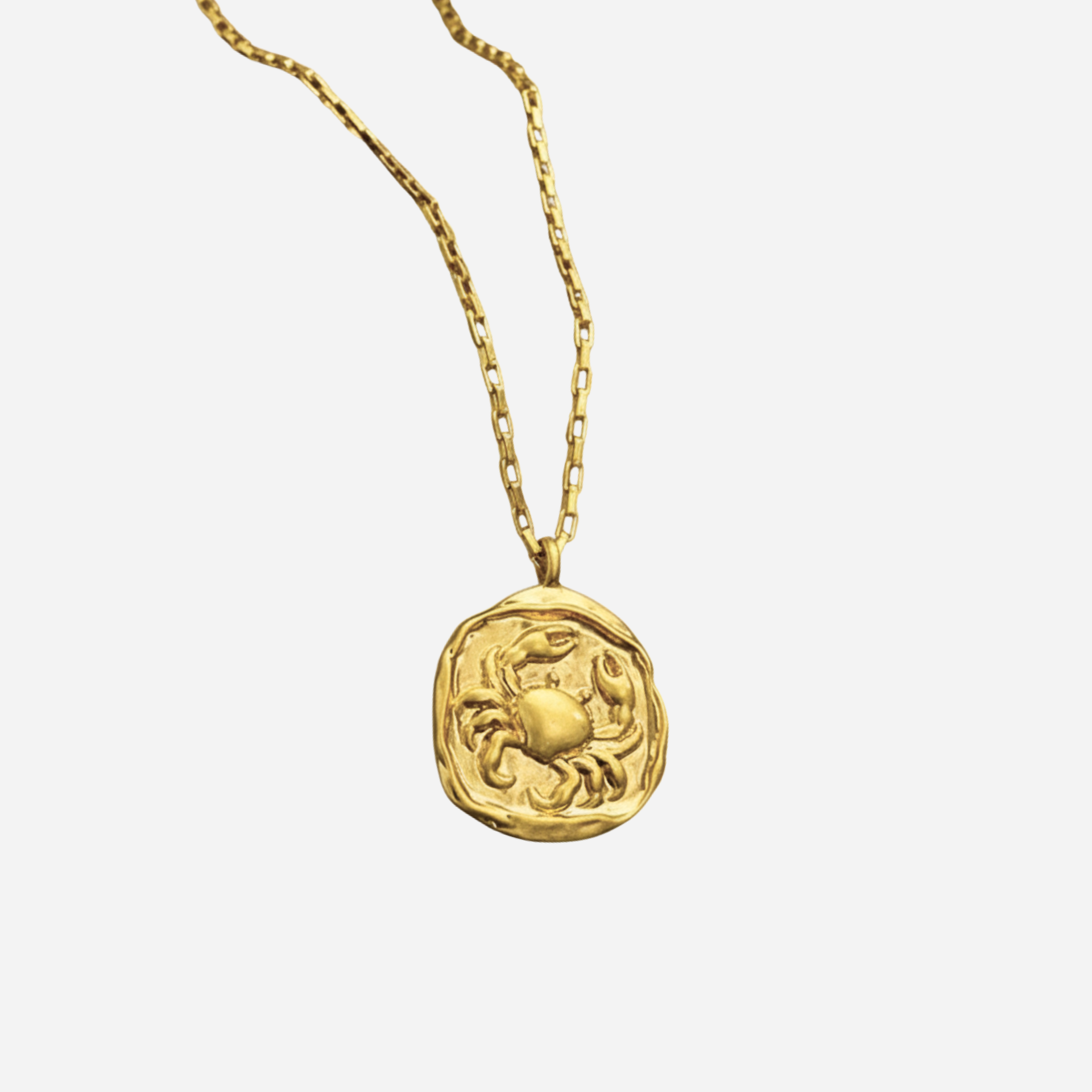 Zeki – Goldenes Zodiac-Medaillon-Halskette